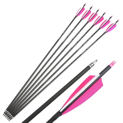Produktbild von Bogenschießpfeile, Carbonverbund, 12 Stück, Rosa