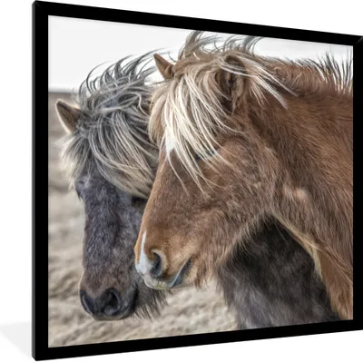 Produktbild von MuchoWow® Gerahmtes Poster Pferde - Natur - Makro 40x40 cm - Poster mit Schwarzem Bilderrahmen Wandposter Rahmen Foto Bilder - Mit Rahmen - Wanddekoration Schlafzimmer
