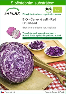 Obrázek produktu pro SAFLAX - BIO - Červené zelí - Red Drumhead - Brassica oleracea var. capitata - 250 Semena - S pěstebním substrátem bez klíčků