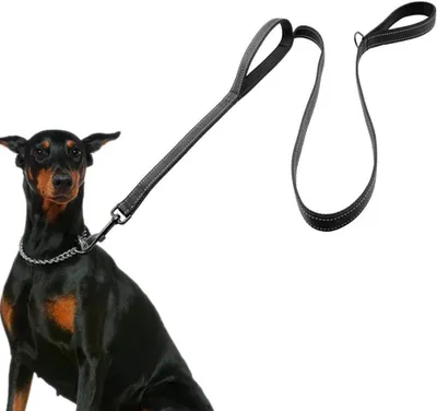 Produktbild von Hundeleine für große Hunde, reflektierende Nylonleine, 150 x 2,5 cm, gepolsterter Neoprengriff