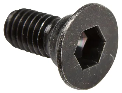 Image de SHIMANO M5x10, vis, gris, Y41704030