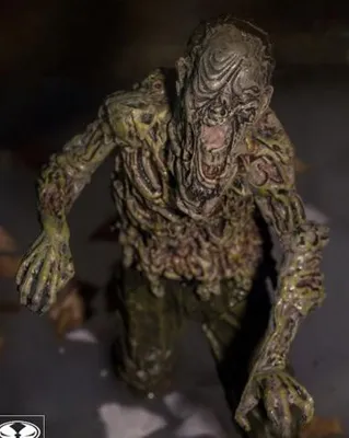 Image de The Walking Dead TV IX - Le marcheur d'eau