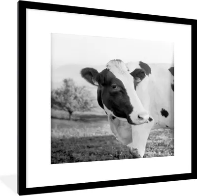 Produktbild von MuchoWow® MuchoWow® Gerahmtes Poster Porträt einer Kuh 40x40 cm - Poster mit zchwarzem Bilderrahmen - Poster - Plakat im Rahmen