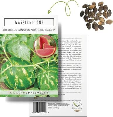 Produktbild von Wassermelone Samen (Citrullus lanatus) - Exotische Melonen Samen ideal für die Anzucht im Garten, Balkon oder Terrasse