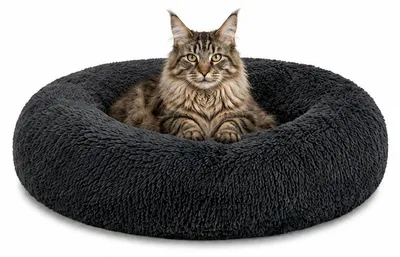 Produktbild von lionto Donut Katzenkissen, rundes Bett mit Plüschbezug & Anti-Rutsch-Boden, erhöhter Rand für Geborgenheit, 60 cm Durchmesser, dunkelgrau