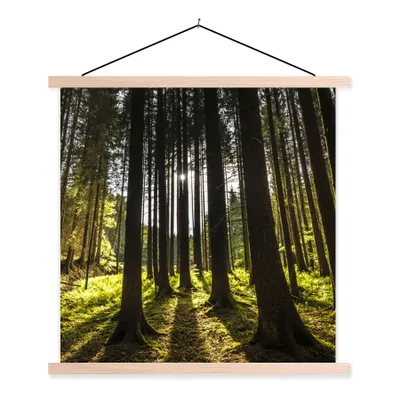 Produktbild von MuchoWow® Textilposter Baum - Natur - Sonne - Wald 40x40 cm mit holzfarbenen Rahmen - Posterleiste