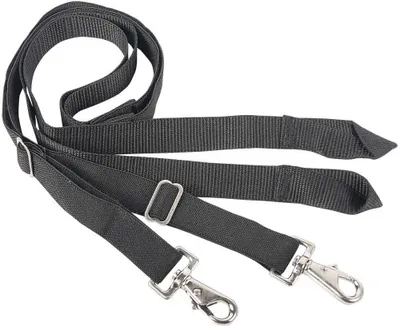 Produktbild von Harrys Horse Schweifriemen elastisch, 2er Set, Größe:One Size