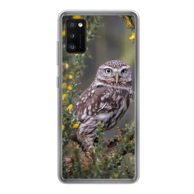 Produktbild von MuchoWow® Handyhülle Schutzhülle Hülle für Samsung Galaxy A41 Eine kleine braune Eule sitzt da und starrt nach vorne Silikon Softcase Handy Hülle - Mobiltelefon