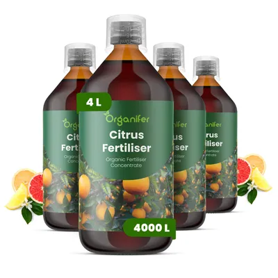 Obrázek produktu pro Citrus Tekuté Hnojivo 4x1 L – 2-1-8 NPK – Pro Citrusové Rostliny – Pro Zdravé Listy, Bujné Květy & Tvorbu Plodov – Podporuje Kořeny – Organifer