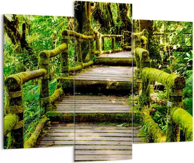 Produktbild von Bild auf Leinwand - Leinwandbild - Asien natur park brücke - 130x100cm - Wand Bild - Wanddeko - Leinwanddruck - Bilder - Kunstdruck - Wanddekoration - Leinwand bilder - Wandkunst - CB130x100-2417