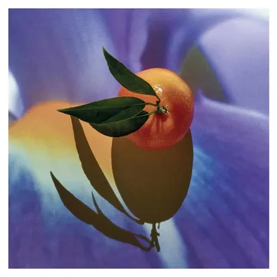 Imagen del producto de Loewe Solo Elixir 50 Vap M