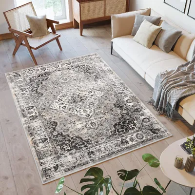 A living room scene with a rug, sofa, chair, and plants.