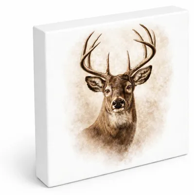 Produktbild von Wald Schönheit Hirschkopf Porträt Holzbild in 15x15 cm zum Stellen oder
