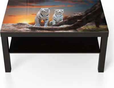Produktbild von DEQORI Couchtisch 90x55 cm Schwarz 'Weiße Tiger im Abendlicht' Glas Beistelltisch