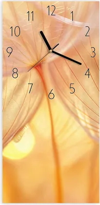 Produktbild von Wanduhr aus Glas mit Motiv Dandelion Makroaufnahme- 30 x 60 cm - inkl. Aufhängesystem