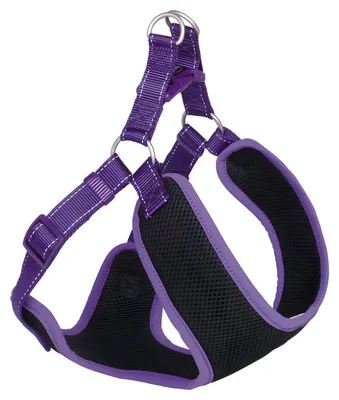 Produktbild von Nobby Geschirr Black Mesh Reflect lila