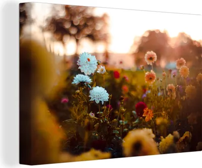 Obrázek produktu pro OneMillionCanvasses® - Obrazy na plátně - 140x90 cm, Květiny - Barvy - Jaro, nástěnné umění Vytisknout Nástěnná dekorace