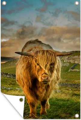 Produktbild von MuchoWow® 40x60 cm Outdoor-Poster Gartendeko Sichtschutz Garten Poster für den Garten  Schottischer Highlander - Gras - Berg