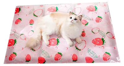Produktbild von Kühlmatte für Katzen, tragbare und waschbare Kühldecke für Haustiere, geeignet für Innen- und Außenbereich, Camping und Reisen