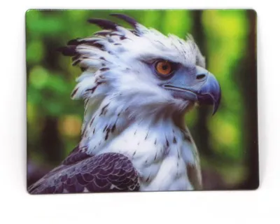 Produktbild von 3D Magnet Harpyie