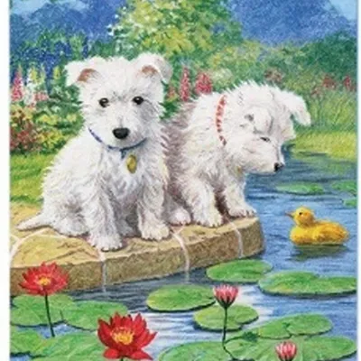 Produktbild von NORIMPEX Maloven nach Nummer Maltzat Hunde am See 40x50cm