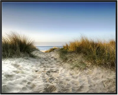 Produktbild von Wallario Wandbild Weg durch die Dünen zum Strand am Meer, Größe: 40,30 x 50,30 cm, Poster mit schwarzem Aluminiumrahmen