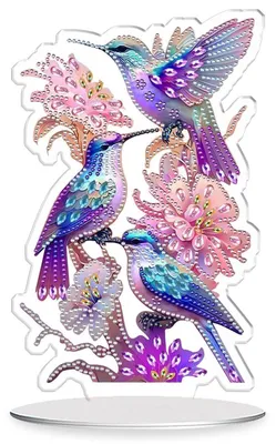 Image de Kit de peinture diamant 5D, décor colibri en acrylique, kit de loisirs créatifs pour adultes