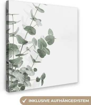 Obrázok produktu pre MuchoWow® - Plátno - Eukalyptus - Listy - Príroda - Zelená, nástenná maľba, nástenné dekorácie obrazy obývacia izba, 50x50cm