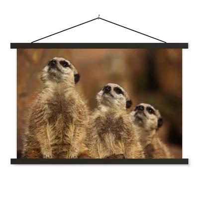 Produktbild von MuchoWow® Textilposter Sonne - Erdmännchen - Familie 120x80 cm mit schwarzem Rahmen - Wanddeko