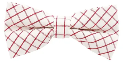 Produktbild von DonDon karierte Herren Fliege 12 x 6 cm aus Baumwolle gebunden und größenverstellbar weiß-rot kariert