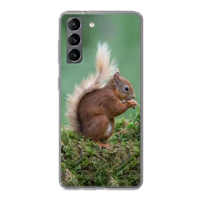 Produktbild von MuchoWow® Handyhülle Schutzhülle Hülle für Samsung Galaxy S21 Waldtier - Eichhörnchen - Moos Silikon Softcase Handy Hülle - Softcase