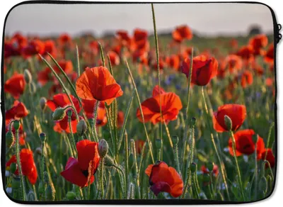 Produktbild von MuchoWow® Laptop Hülle 13 Zoll Blumen - Mohnblumen - Natur - Rot Laptoptasche - Laptophülle - Sleeve - Rundumschutz