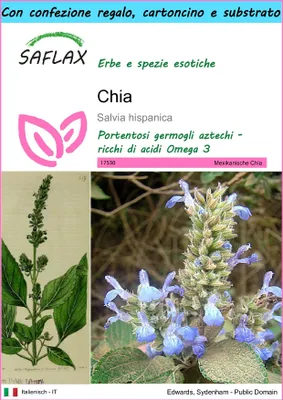 Immagine prodotto di SAFLAX Set regalo - Chia - 500 semi - Salvia