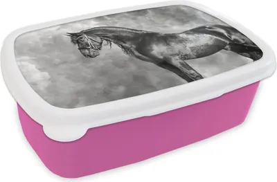 Produktbild von KitchenYeah® Lunchbox Brotzeit Brotdose 17x11 cm Friese - Pferde - Porträt - Schwarz - Weiß Kinder Brotzeitdose - Lunchpaket - Brotkasten  - Sandwich Box