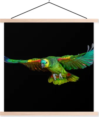 Produktbild von MuchoWow® Textilposter Papagei - Vogel - Federn 40x40 cm mit holzfarbenen Rahmen - Posterleiste