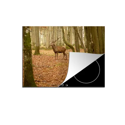 Produktbild von KitchenYeah© Herdabdeckplatte Hirsche - Herbst - Wald , 75x52cm, Küche Deko, Glaskeramikkochfeld Herdabdeckung, Abdeckplatte fùr Kochfeld