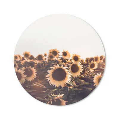 Produktbild von MuchoWow® Mauspad Mousepad Sonnenblumen - Feld - Sonnenuntergang - Blumen - Gelb 50x50 cm - Mousepads - Maus Mat - Pad - Mausunterlage - Vinyl