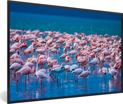 Produktbild von MuchoWow® Gerahmtes Poster Flamingo - Wasser - Tropisch - Rosa 90x60 cm - Poster mit Schwarzem Bilderrahmen Wandposter Rahmen Foto Bilder - Fotorahmen - Foto-Plakat