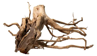 Produktbild von Stoffels Spiderwood - Rote Moorwurzel für Aquarien