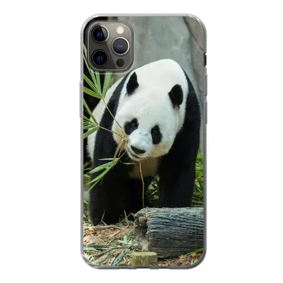 Produktbild von MuchoWow® Handyhülle Schutzhülle Hülle für iPhone 13 Pro Max Panda - Baumstamm - Höhle Silikon Softcase Handy Hülle - Mobiltelefon