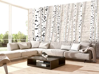 Produktbild von Vlies Fototapete 350x256 cm Tapeten Wandtapete XXL Baum Bäume Birke Natur b-C-0039-a-a