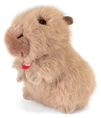 Immagine prodotto di trudino - peluche capibara