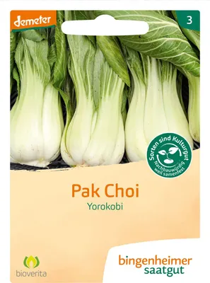 Artikelbild 2 von 'BIO Pak Choi Yorokobi' aus der Kategorie Pak Choisamen