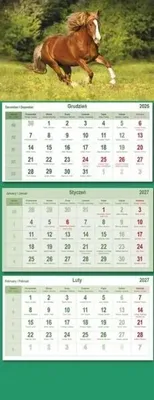 Produktbild von Kalender 2025: Pferde – Michalczyk und Prokop (in drei Teilen)