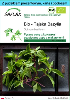Zdjęcie produktu dla SAFLAX - Zestaw prezentowy - Bio - Tajska Bazylia - 250 Nasiona - Z pudełkiem upominkowym, etykietą wysyłkową, kartą podarunkową i podłożem uprawowym - Ocimum basilicum