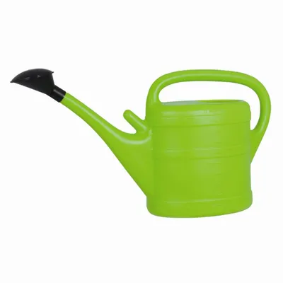 Image de Geli Arrosoir pour fleurs Arrosoir avec embout d'arrosage + tamis, 10l vert clair - Multi-season