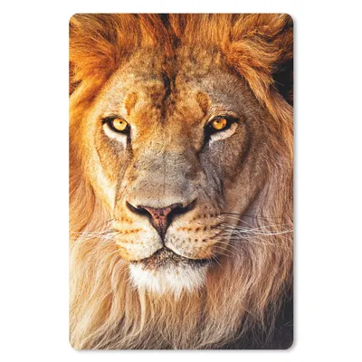 Obrázek produktu pro Podložka pod myš - Lev - portrét - barvy - 18x27cm - Podložka pod myš