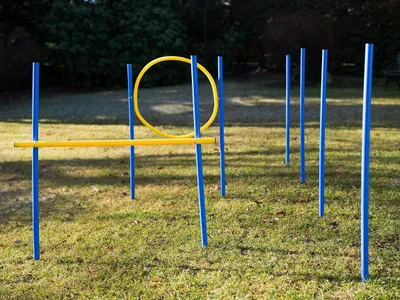 Produktbild von Hundetrainingsset, Slalom-Stangen, Hürde und Ring, Agility