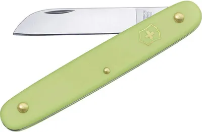 Immagine prodotto di Victorinox 390-5047B1 Coltello da fiori con lama dritta da 100 mm, verde