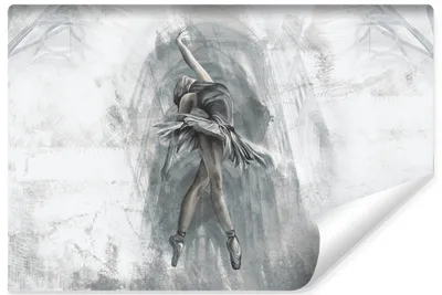 Produktbild von Muralo Selbstklebende Fototapete Für Wohnzimmer BALLERINA Ballett Tanz Abstraktion Beton Br. 90cm x Hö. 60cm